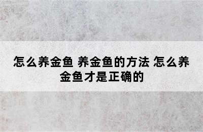 怎么养金鱼 养金鱼的方法 怎么养金鱼才是正确的